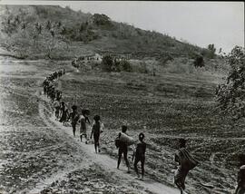 "Refuerzos norteamericanos llegan a Nueva Guinea"
