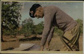 Montgomery, Bernard Law