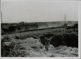 Transporte de prisioneros de guerra soviéticos remolcados por el ejército alemán en una carretera de Ucrania, 11 de septiembre de 1943.