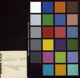 "National Geographic. África / Europa / Alemania / Japón". 1943 - 1944