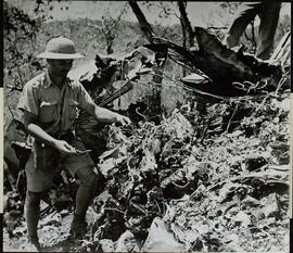 "Naufragios japoneses de aviones de guerra Nueva Guinea. La víctima de las fuerzas norteamericanas de Nueva Guinea"