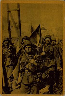Conjunto de 8 postales fotográficas. Colección denominada "La cruzada europea contra el bolchevismo". División Azul.
