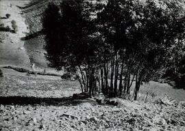 Fotografías en el norte de África
